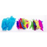 FEATHERS SMALL ASSORTED COLOURS PACK OF 50