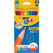 Coloured Pencils