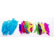 Feathers