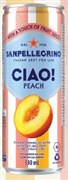 SAN PELLEGRINO CIAO PEACH SPARKLING WATER 330ML CTN24